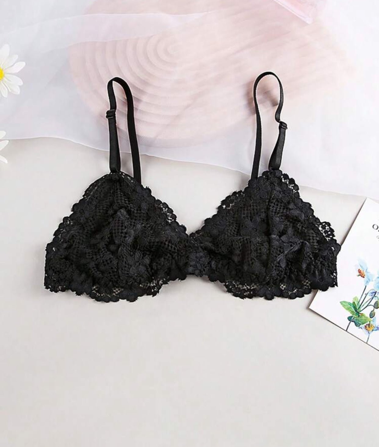 8166 - AMELIEE